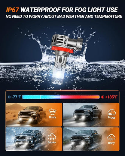 SEALIGHT H11 ledlights for car, Headlight Bulbs 40000 Lumens, High Performance Halogen Replacement, High Beam Low Beam Fog Light Bulbs, 2 Pack