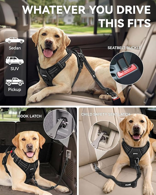 Joytale 3-in-1 Bungee Dog Seat Belt for Car, Safe & Distraction-Free Travel with Reinforced Swivel Carabiner, Shock Absorbing & Tangle-Free Nylon Tether for Medium Large Dogs, Black