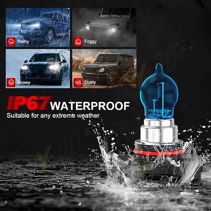 Upgraded Halogen Headlight Bulbs for Jeep Wrangler JK JL 2010 2011 2012 2013 2014 2015 2016 2017 2018 2019 2020 2021 2022, High Low Beams and Fog Lights Combo , 6000k White, 300% Brightness, 4 PCS