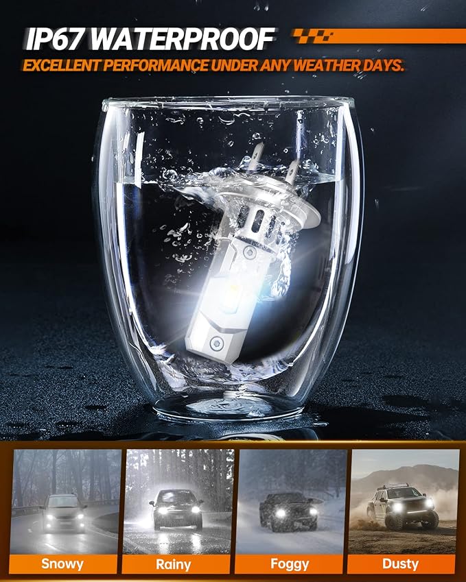 SEALIGHT H7 Fog Light Bulbs, Pack of 2