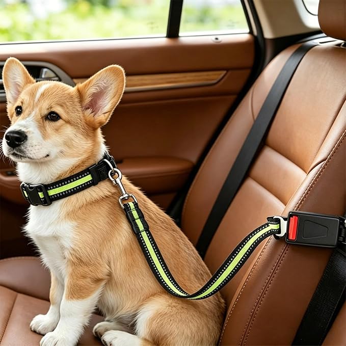 Reflective Nylon Pet Car Safety Set, Adjustable Dog Collar + Seatbelt, Travel Safety Kit for Dogs & Cats