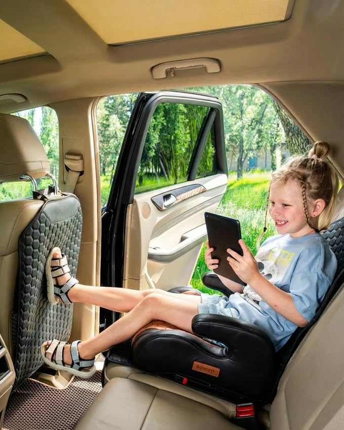 Owleys Set Seat Back Organizer & Car Seat Protector Hexy Waterproof & Non-Slip Protector for Child Car Cushion for Leather and Fabric Seats (Black 2pcs)