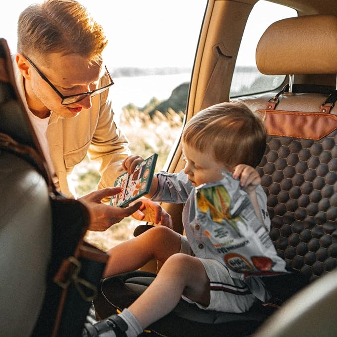 Owleys Set Seat Back Organizer & Car Seat Protector Hexy Waterproof & Non-Slip Protector for Child Car Cushion for Leather and Fabric Seats (Hexy Set 1)
