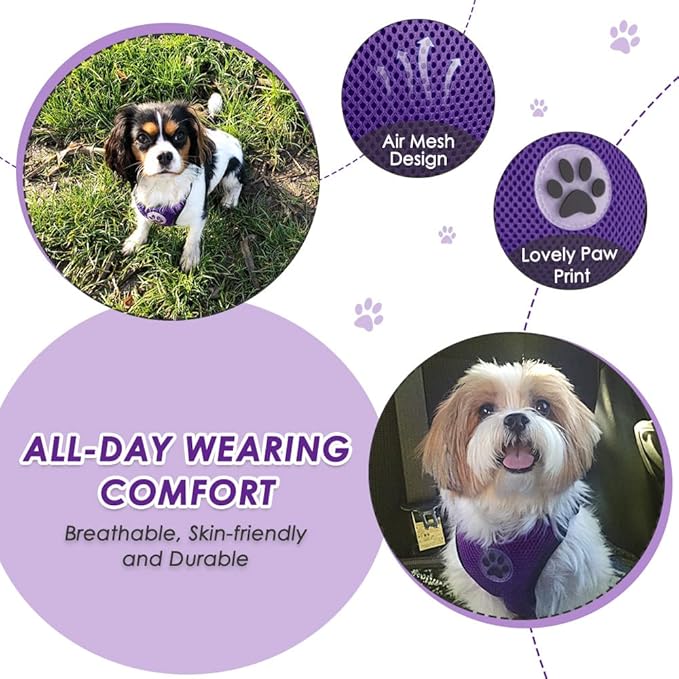 Lukovee Dog Car Harness Seat Belt, Adjustable Mesh Breathable Vest with Elastic Bungee Tether, Soft Padded 2-in-1 Safety Car Harness Seatbelt for Small Medium Large Dogs (Purple,L)