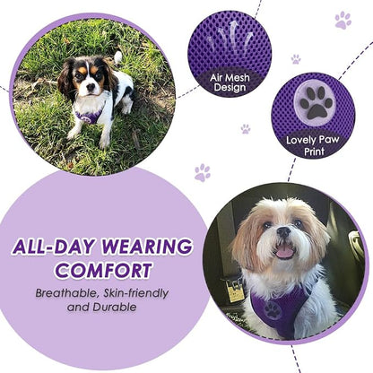 Lukovee Dog Car Harness Seat Belt, Adjustable Mesh Breathable Vest with Elastic Bungee Tether, Soft Padded 2-in-1 Safety Car Harness Seatbelt for Small Medium Large Dogs (Purple,XXXS)