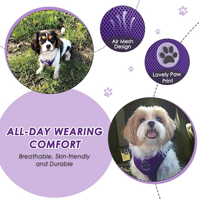 Lukovee Dog Car Harness Seat Belt, Adjustable Mesh Breathable Vest with Elastic Bungee Tether, Soft Padded 2-in-1 Safety Car Harness Seatbelt for Small Medium Large Dogs (Purple,M)