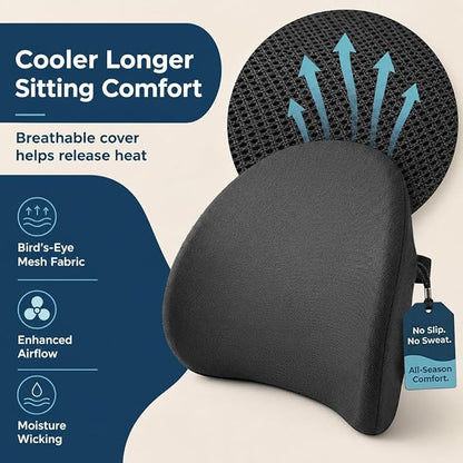Lumbar Support Pillow for Office Chair & Car Seat, All-Season Memory Foam for Lower Back Pain Relief, Non-Slip Back Cushion with Dual Straps for Desk Workers & Drivers, Black