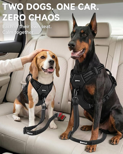 Joytale 3-in-1 Bungee Dog Seat Belt for Car, Safe & Distraction-Free Travel with Reinforced Swivel Carabiner, Shock Absorbing & Tangle-Free Nylon Tether for Medium Large Dogs, Black
