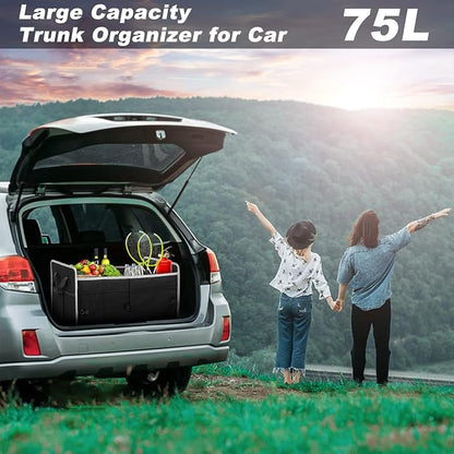 Car Trunk Organizer with Individual Cooler Bag - 2 Compartment Collapsible Car Storage for SUV (Black)