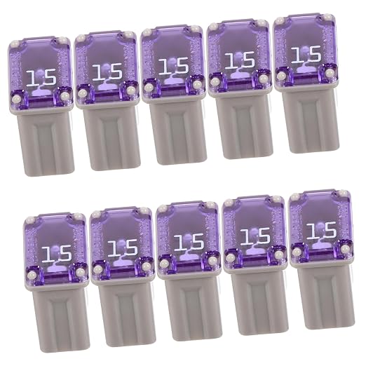 Garneck 10pcs Automotive Fuse Kit for Easy Installation and Circuit Compact for Cars Rvs Trucks and More