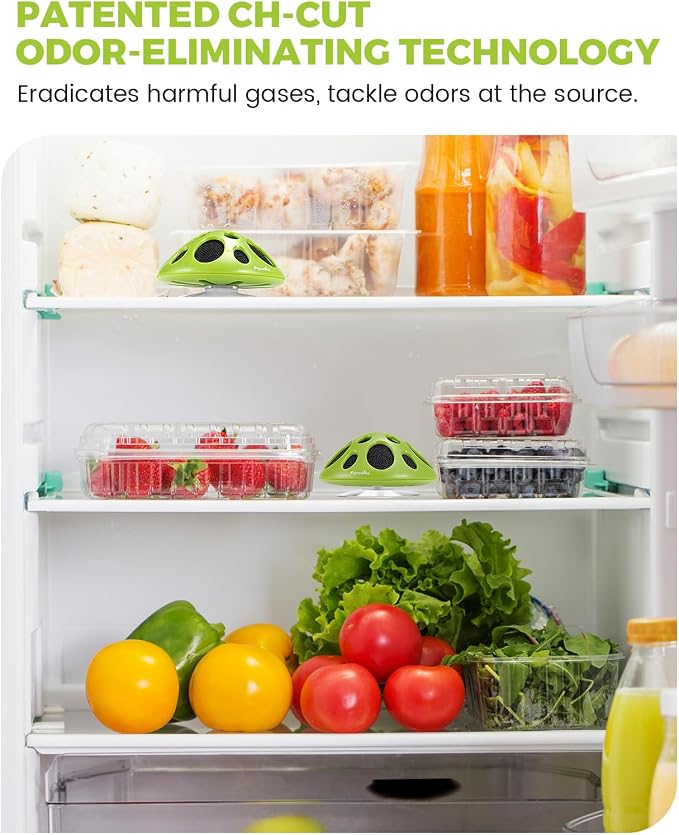 Purriko Fridge Deodorizer,Last up to 10 Years,Refrigerator Odor Eliminator,Fridge Smell Eliminator,More Effective than Baking Soda and Bamboo Charcoal Air Purifying Bags,Green