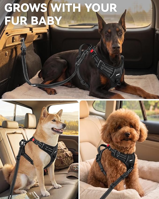 Joytale 3-in-1 Bungee Dog Seat Belt for Car, Safe & Distraction-Free Travel with Reinforced Swivel Carabiner, Shock Absorbing & Tangle-Free Nylon Tether for Medium Large Dogs, Black