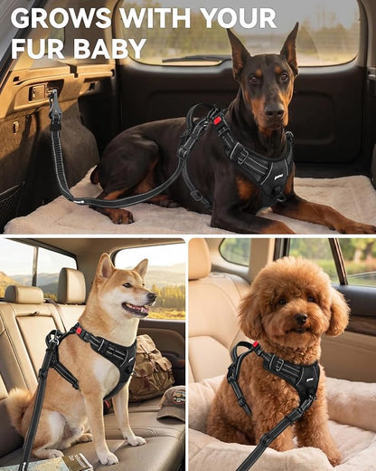 Joytale 3-in-1 Bungee Dog Seat Belt for Car, Safe & Distraction-Free Travel with Reinforced Swivel Carabiner, Shock Absorbing & Tangle-Free Nylon Tether for Medium Large Dogs, Black