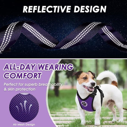 Lukovee Dog Car Harness Seat Belt, Adjustable Mesh Breathable Vest with Elastic Bungee Tether, Soft Padded 2-in-1 Safety Car Harness Seatbelt for Small Medium Large Dogs (Purple,L)