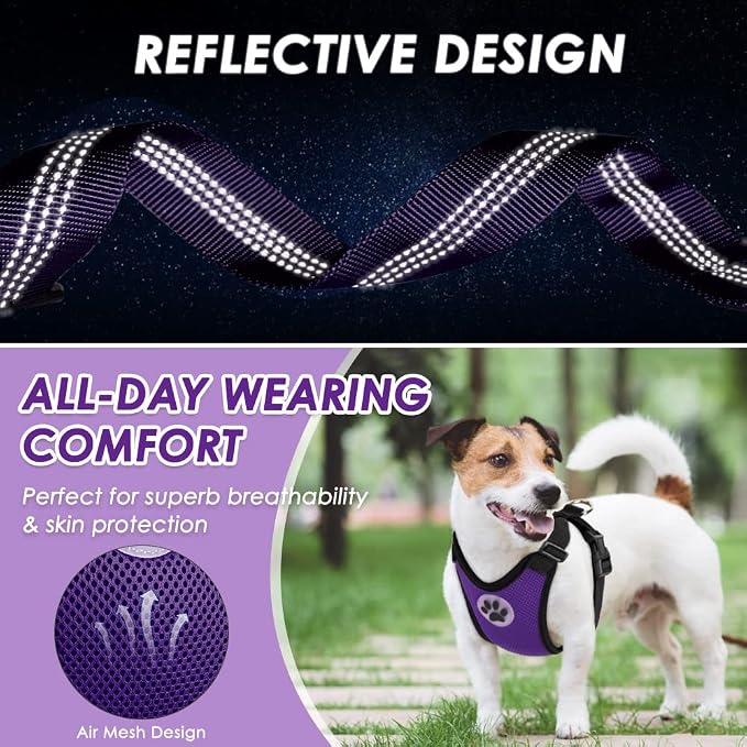 Lukovee Dog Car Harness Seat Belt, Adjustable Mesh Breathable Vest with Elastic Bungee Tether, Soft Padded 2-in-1 Safety Car Harness Seatbelt for Small Medium Large Dogs (Purple,XS)