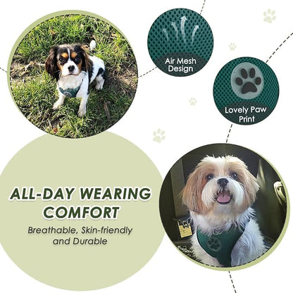 Lukovee Dog Car Harness Seat Belt, Adjustable Mesh Breathable Vest with Elastic Bungee Tether, Soft Padded 2-in-1 Safety Car Harness Seatbelt for Small Medium Large Dogs (Green,M)