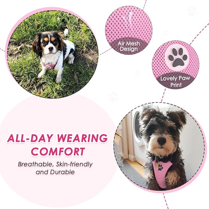 Lukovee Dog Car Harness Seat Belt, Adjustable Mesh Breathable Vest with Elastic Bungee Tether, Soft Padded 2-in-1 Safety Car Harness Seatbelt for Small Medium Large Dogs (A-Pink,M)