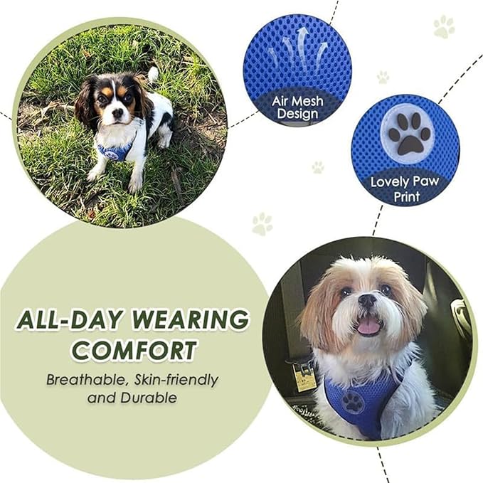 Lukovee Dog Car Harness Seat Belt, Adjustable Mesh Breathable Vest with Elastic Bungee Tether, Soft Padded 2-in-1 Safety Car Harness Seatbelt for Small Medium Large Dogs (Blue,S)