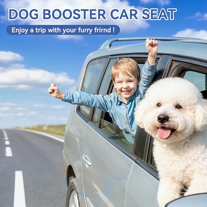 Dog Car Seat for Small/Medium Dogs Under 30lbs, Double-Sided Cooling & Warm Booster Seat, Detachable & Washable Elevated Pet Bed with Pockets, Anti-Slip Base for Front & Back Seats with Safety Leash