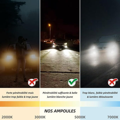 Sinoparcel H1 Halogen Fog Light Bulb 3800K, 150% More Brightness Replacement for Standard 55W Bulb, Pack of 2