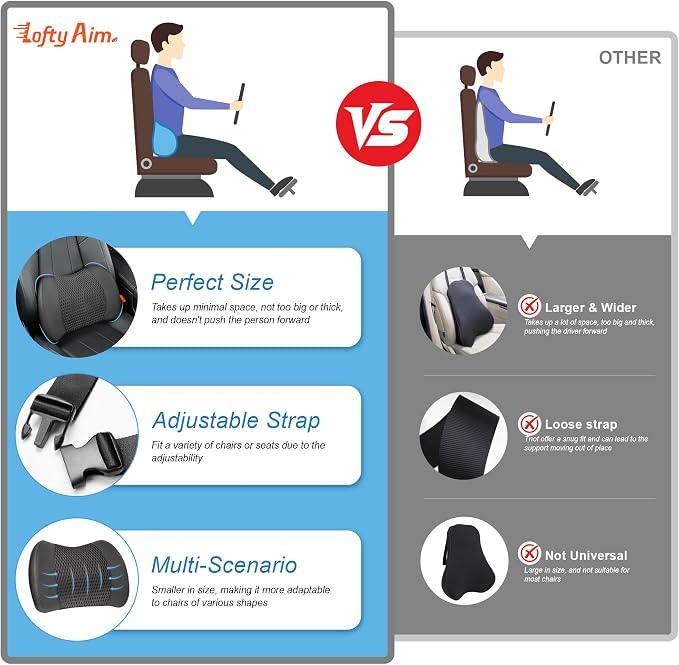 Lofty Aim Memory Foam Lumbar Support Cushion Relieves Lower Back Pain Car Seat Office Chair and Wheelchair Back Pillow with Breathable 4D Mesh Black