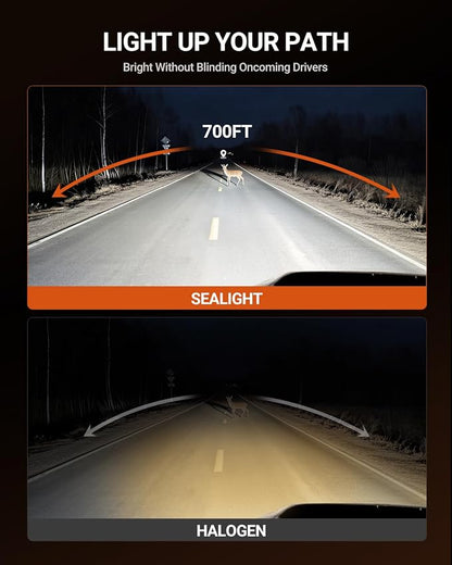 SEALIGHT H4 LED Bulbs, 96000LM Super Brighter, 6500K Cool White 9003 Driving Light Bulbs, 1:1 Size S6-Pro HB2 9003 Fog Light, IP68 With Cooling Fan, Plug and Play, Pack of 2
