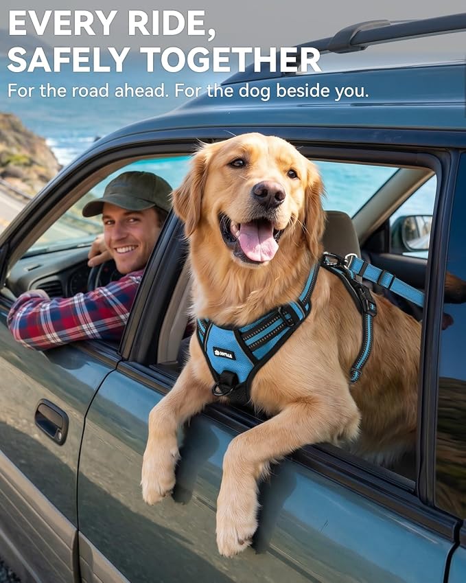 Joytale 3-in-1 Bungee Dog Seat Belt for Car, Safe & Distraction-Free Travel with Reinforced Swivel Carabiner, Shock Absorbing & Tangle-Free Nylon Tether for Medium Large Dogs, Sky Blue