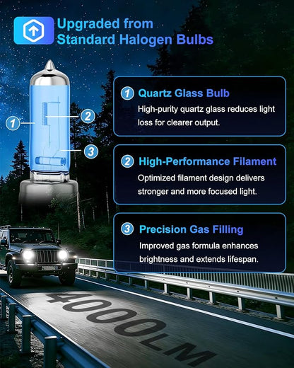 H7 Halogen Headlight Bulbs, Standard High Beam or Low Beam or Fog Light Bulb, DC 12V 55W 5000K,4000 Lumens,White Headlight Bulbs,Head Light Bulbs for Car,High Brightness Headlight Bulb, Pack of 2