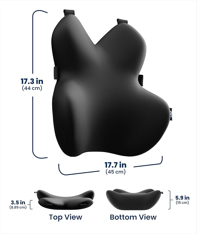 Everlasting Comfort Lumbar Support Pillow for Office Chair - Memory Foam Back Cushion for Car Seat - Promotes Better Posture, Back Pain Relief - Ideal Gaming and Desk Chairs Work and Home Essentials