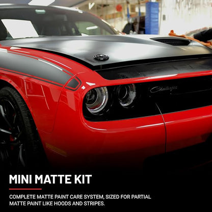 Dr. Beasley's Mini Matte Kit with Accessories - Instant Bonding Coating, 2+ Years of Protection with Body Wash, Final Finish, Paint Cleanser, Matte Paint Coating