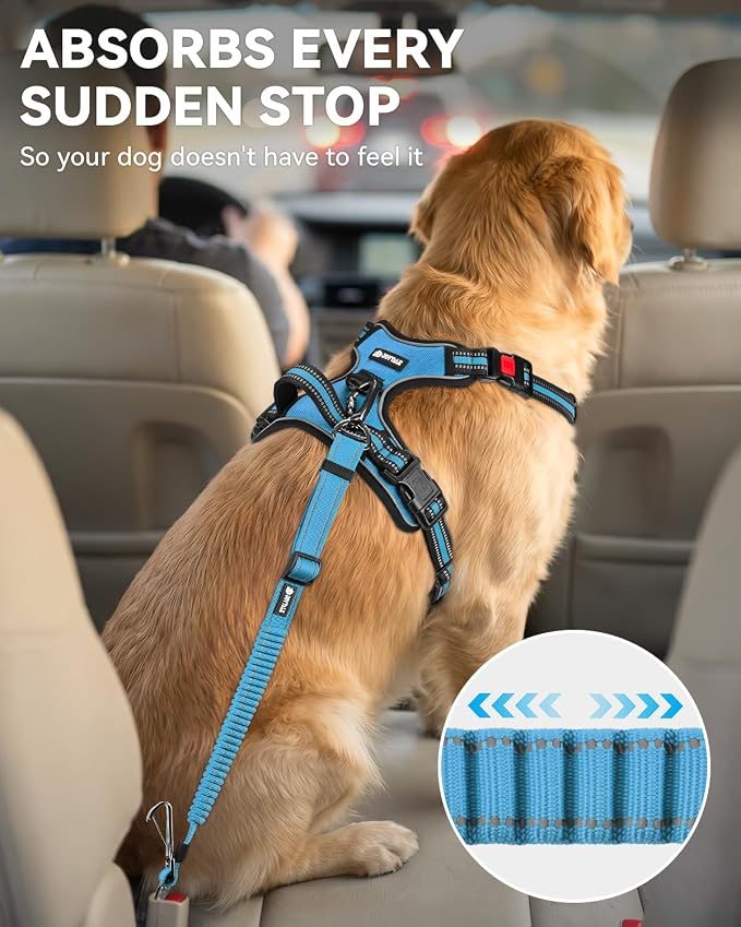 Joytale 3-in-1 Bungee Dog Seat Belt for Car, Safe & Distraction-Free Travel with Reinforced Swivel Carabiner, Shock Absorbing & Tangle-Free Nylon Tether for Medium Large Dogs, Sky Blue