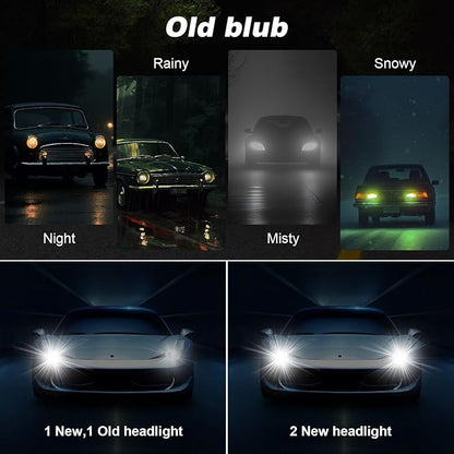 H8 Halogen Headlight Bulb, 12V 35W Halogen Headlamp 5000K Auto Car Low High Beam Light Bulbs for Fog light Replacement,NOT Fit 24v Vehicles,Pack of 2