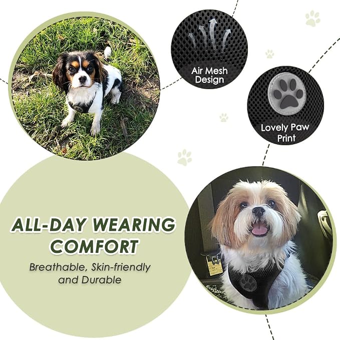 Lukovee Dog Car Harness Seat Belt, Adjustable Mesh Breathable Vest with Elastic Bungee Tether, Soft Padded 2-in-1 Safety Car Harness Seatbelt for Small Medium Large Dogs (Black,S)