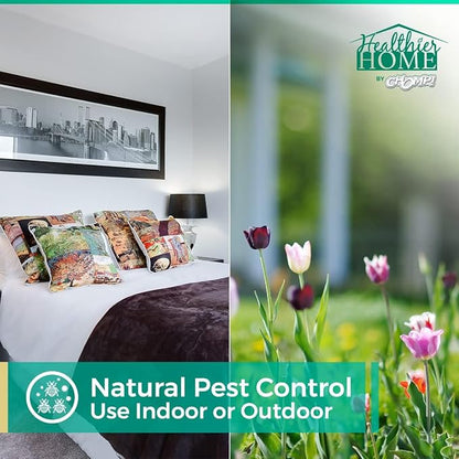 Chomp! Travel Size Bed Bug & Insect Repellent, Natural, TSA Approved Indoor Pest Control Spray for Travel & Home, Plant-Based Dust Mite, Ant, Spider, Fly Killer, Peppermint Scent, 3.4 Fl Oz