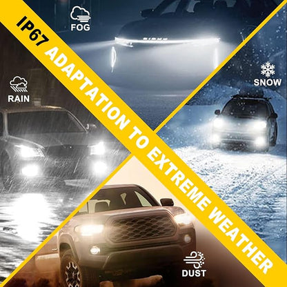AHOBXD H1 Light Bulbs,6500K White Super Bright Upgraded 600% 30000LM Brightness Real 1:1 Halogen Size 80000Hours Lifespan H1/H1LL Flicker Free and Canbus Free IP68 Waterproof Pack of 2