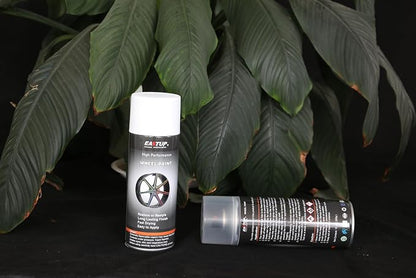 EASTUP Premium Clear Acrylic Enamel Wheel Paint - Brilliant Finish, High Durability, Fade-resistant, Quick Drying Rim Coating Spray Paint.