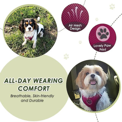 Lukovee Dog Car Harness Seat Belt, Adjustable Mesh Breathable Vest with Elastic Bungee Tether, Soft Padded 2-in-1 Safety Car Harness Seatbelt for Small Medium Large Dogs (Rose,XS)
