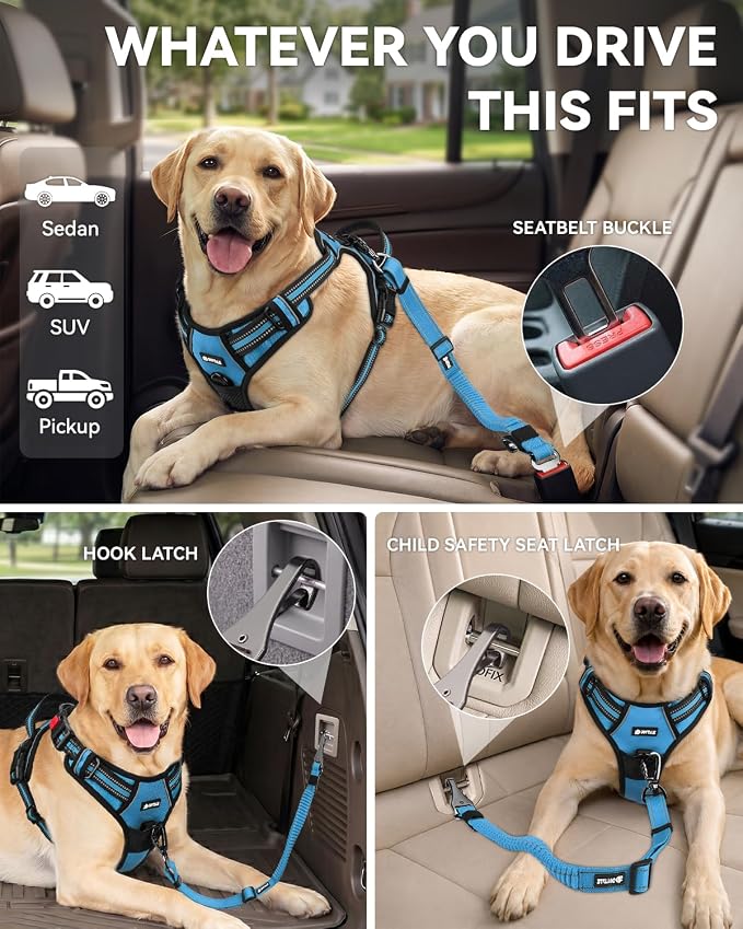 Joytale 3-in-1 Bungee Dog Seat Belt for Car, Safe & Distraction-Free Travel with Reinforced Swivel Carabiner, Shock Absorbing & Tangle-Free Nylon Tether for Medium Large Dogs, Sky Blue