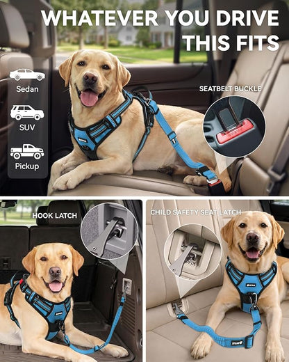 Joytale 3-in-1 Bungee Dog Seat Belt for Car, Safe & Distraction-Free Travel with Reinforced Swivel Carabiner, Shock Absorbing & Tangle-Free Nylon Tether for Medium Large Dogs, Sky Blue