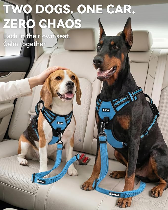 Joytale 3-in-1 Bungee Dog Seat Belt for Car, Safe & Distraction-Free Travel with Reinforced Swivel Carabiner, Shock Absorbing & Tangle-Free Nylon Tether for Medium Large Dogs, Sky Blue