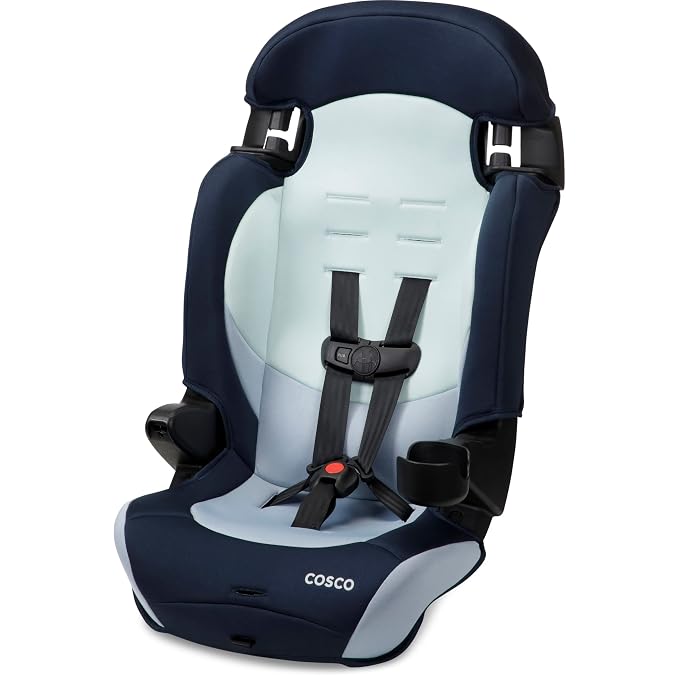 Cosco Kids Finale DX 2-in-1 Booster Car Seat, Forward Facing Toddler Car Seat (40-65 lbs) and Belt Positioning High Back Booster (40-100 lbs), Rainbow
