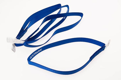 Q'Straint Q5-7580-6 Blue Webbing Loop Strap 20 Inch Length – Pack of 4, Durable Vehicle Tie-Down Accessory for Wheelchair Transport Systems