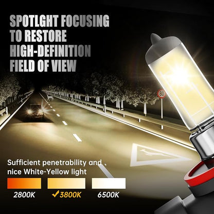 H11 Halogen Headlight Bulb,3800K, 4000 Lumens,12V 55W Standard Halogen Light Bulb,Head Light Bulbs for Car,High Brightness Headlight Bulb,Headlight Bulbs High and Low Beam,Pack of 2