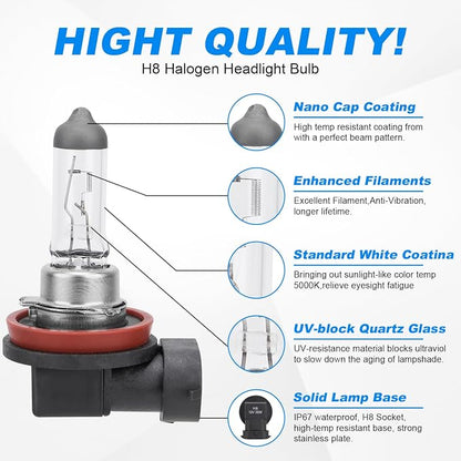 H8 Halogen Headlight Bulb, 12V 35W Halogen Headlamp 5000K Auto Car Low High Beam Light Bulbs for Fog light Replacement,NOT Fit 24v Vehicles,Pack of 2