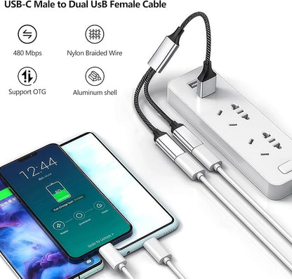 REYTID USB C Hub, Dual USB 2.0 Port Expander - Type C Male to 2 USB A Female Y Splitter Adapter with Aluminum Shell, 5V/2A Charging for Laptop/Tablet/Phone/Flash Drive/CarPlay