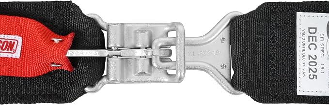 SIMPSON Unisex 5-point Harness