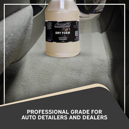 LANE'S Carpet Cleaner Spray- Carpet Cleaner Foam, Removes Odor, Fights Tough Dirt and Stains, Professional Grade Cleaning Spray- 1 Gallon