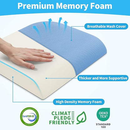 TranquilRelax Large Seat Cushion, Memory Foam Cushion for Long Sitting Hours on Office Chair, Home & Car, Non-Slip Chair Pad for Relieving Back & Sciatica & Hip & Coccyx Pain (Light Blue)