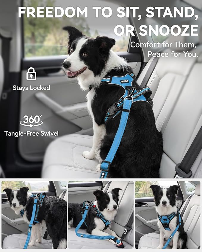 Joytale 3-in-1 Bungee Dog Seat Belt for Car, Safe & Distraction-Free Travel with Reinforced Swivel Carabiner, Shock Absorbing & Tangle-Free Nylon Tether for Medium Large Dogs, Sky Blue