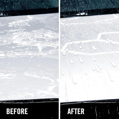 Turtle Wax ICE Seal N Shine, Car Wax Sealant, High Gloss Shine, Insane Water Beading and Durable Paint Protection, Carnauba Wax Infused, For Paint, Wheels, Glass, Plastics and More, 16oz (Pack of 6)